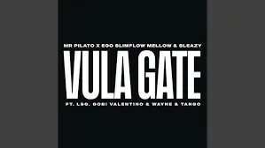 Mr Pilato – Vula Gate ft. Ego Slimflow, Mellow & Sleazy, LSG, Gobi Valentino, Wayne & Tango Mr Pilato – Vula Gate ft. Ego Slimflow, Mellow & Sleazy, LSG, Gobi Valentino, Wayne & Tango