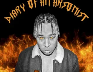 ALBUM: PatricKxxLee – Diary of an Arsonist PatricKxxLee – Diary of an Arsonist