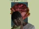 PatricKxxLee – Disco Utopia