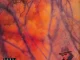 ScHoolboy Q – Blank Face LP