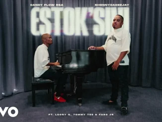 ShennyDaDeejay ft. Candy Flow RSA, Tommy Tee, LoonyQ & Faro Jr – estok’sini ShennyDaDeejay – estok’sini ft. Candy Flow RSA, Tommy Tee, LoonyQ & Faro Jr
