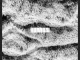 Sono – Human