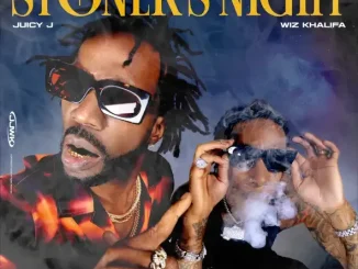 Stoner's Night