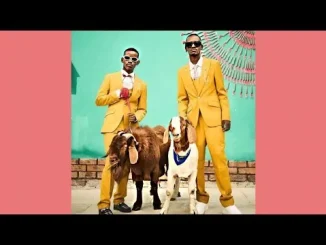 TitoM & Yuppe feat. Thatohatsi, Cowboii & Mluusician – elihle TitoM & Yuppe elihle (Official Audio) feat. Thatohatsi, Cowboii & Mluusician