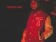 Tyga – Rawwest Alive