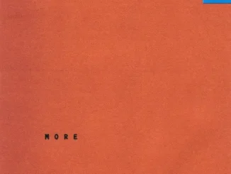 ALBUM: Wallows – More Wallows More