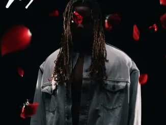 Vory - Who Don't Like Me Who Don't Like Me Single Vory