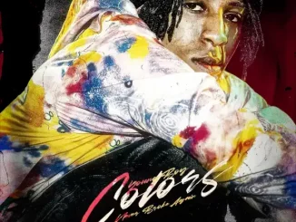 Colors