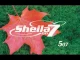 507 Sheila On 7