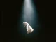 Ariana Grande eternal sunshine deluxe brighter days ahead