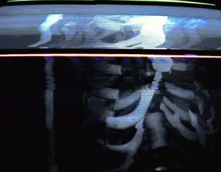 BONES – CARCASS