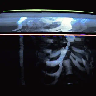 BONES – CARCASS BONES – CARCASS
