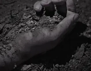 ALBUM: BONES – IFeelLikeDirt BONES – IFeelLikeDirt