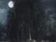 BONES – UnderTheWillowTree