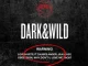 BTS – DARK&WILD