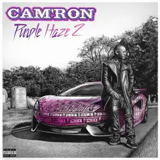 Cam'ron – Purple Haze 2
