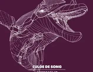 Culoe De Song – Aftermath