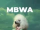 D Voice – Mbwa