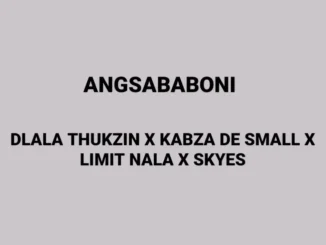 Dlala Thukzin – ANG’SABABONI ft Kabza De Small, Limit Nala & Skyes