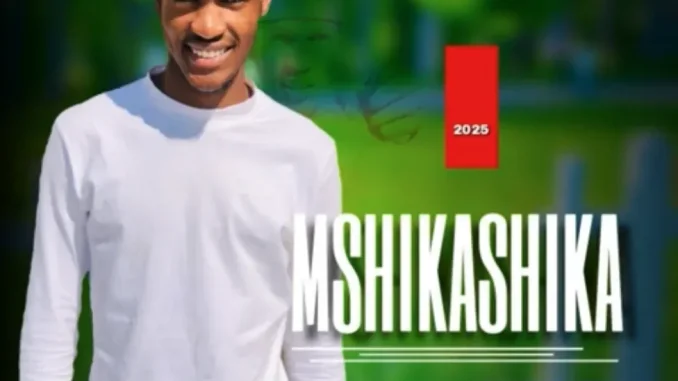 Dlamini Shika’s Mshikashika – Ayabusa Amabhingca Dlamini Shika’s Mshikashika – Ayabusa Amabhingca