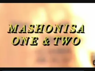 Emzini Wezinsizwa – Mashonisa One & Two Emzini Wezinsizwa – Mashonisa One & Two