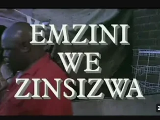 Emzini Wezinsizwa – Wheeling And Dealing