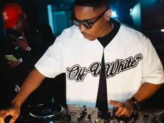 Felo Le Tee – Between Friends ft Klipdrift Amapiano Mix