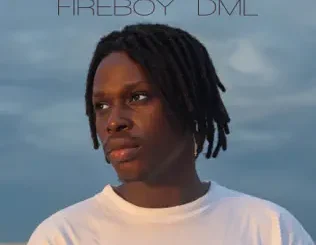 ALBUM: Fireboy DML – Laughter, Tears & Goosebumps Fireboy DML – Laughter, Tears & Goosebumps