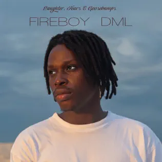 Fireboy DML – Laughter, Tears & Goosebumps Fireboy DML – Laughter, Tears & Goosebumps