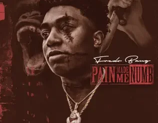 ALBUM: Fredo Bang – Pain Made Me Numb Fredo Bang – Pain Made Me Numb