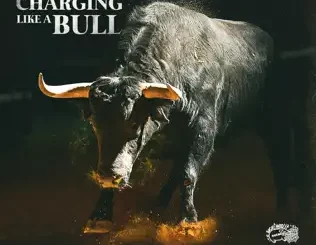 Hitta Slim – Charging Like a Bull