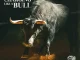Hitta Slim – Charging Like a Bull
