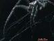 Hitta Slim – Crawlin Like a Spider