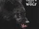 Hitta Slim – Creep'n Like a Wolf