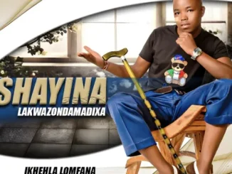 IShayina lakwazondamadixa – Ikhehla lomfana