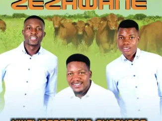 Insimbi ZeZhwane – KWELINGAFELWA NKONYANE Insimbi ZeZhwane – KWELINGAFELWA NKONYANE