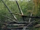 Jason Upton – A Table Full of Strangers, Vol. 1