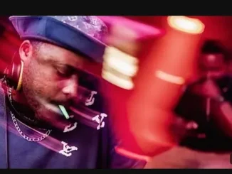 Kelvin Momo – Crazy