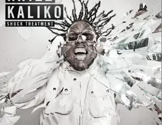 Krizz Kaliko – Shock Treatment