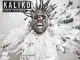 Krizz Kaliko – Shock Treatment