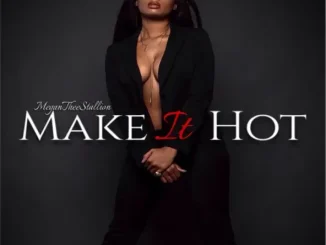 Make It Hot Megan Thee Stallion