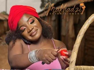 Makhadzi – My Situation (Nyimele Yanga) ft. Shandesh & Master KG