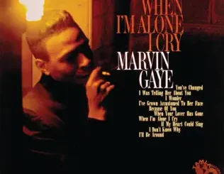Marvin Gaye – When I'm Alone I Cry