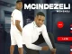 Mcindezeli Mshengu – Usizi