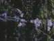 Montell Fish – It's Beautiful