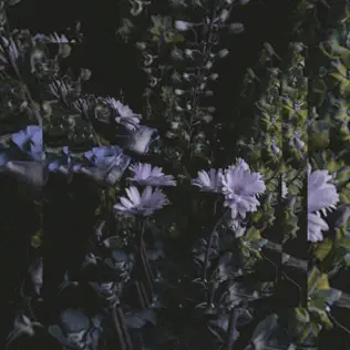 Montell Fish – It's Beautiful Montell Fish – It's Beautiful