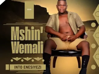 Mshinwemali Ft. Senzo Ntuli – Indlovukazi Mshinwemali – Into Enesiyezi