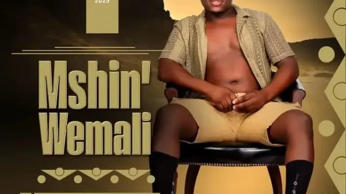 Mshinwemali – Into Enesiyezi Mshinwemali – Into Enesiyezi
