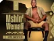 Mshinwemali – Into Enesiyezi