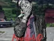 MusiholiQ – Mjit'owenzinkinga